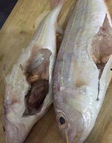 抖音网红星野 鱼哥吃瓜网,吃瓜网背后的故事